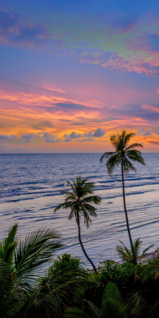 Goa