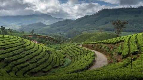 Kerala