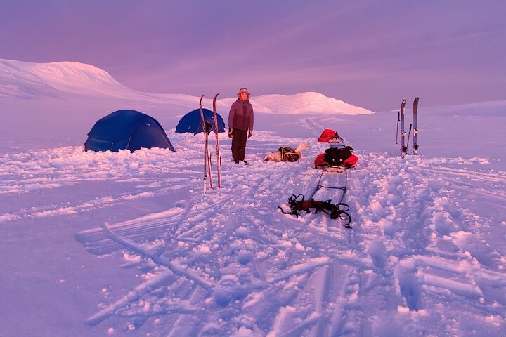 5-Day Ski Touring Expedition Between Sweden and Norway