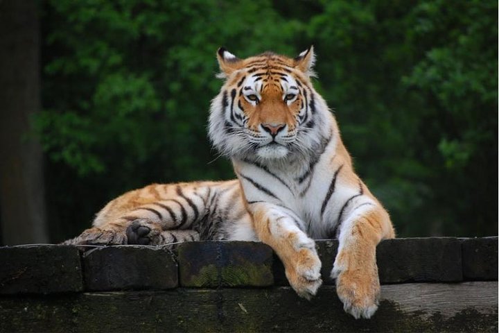 11 Days Delhi Agra Ranthambore Udaipur Jaipur Delhi Tour