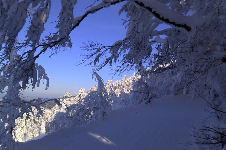 Private 3-Day Slovakia Winter Break from Bratislava