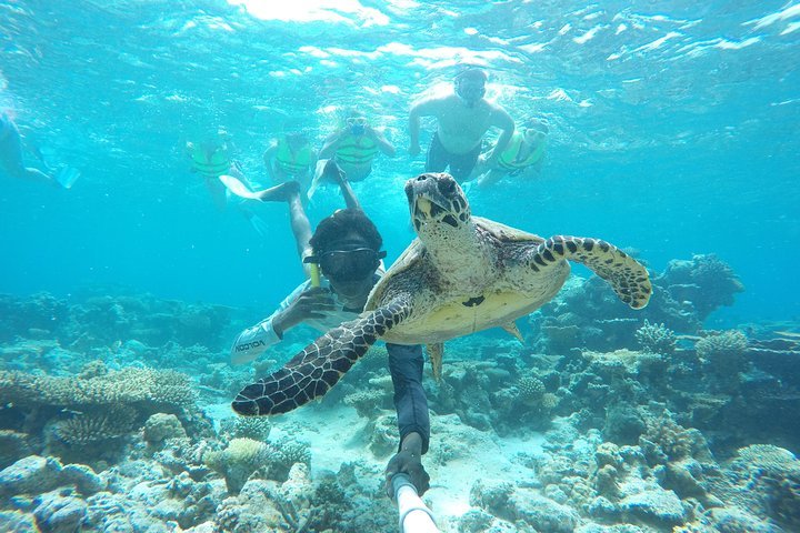 4-Night Maldives Guided Local Experience from Male' Airport