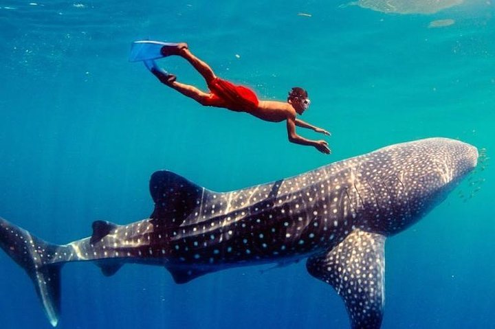 11 Days in Philippines : Cebu-Bohol-Camiguin-Siquijor