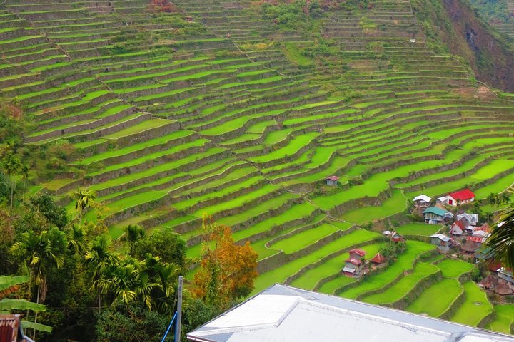 Embark on a 7-Day Banaue-Sagada Adventure of a Lifetime