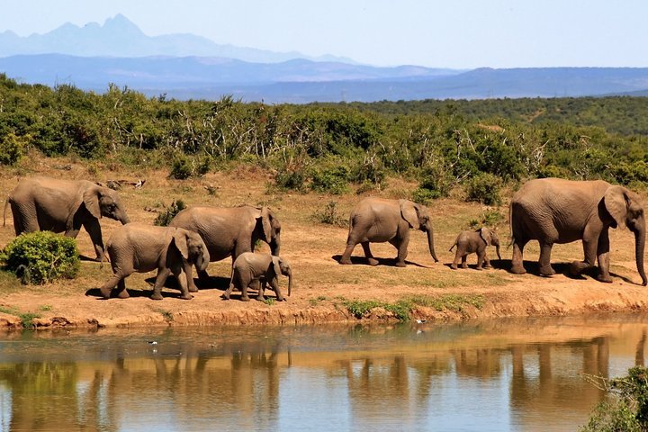 3-Day Tour to Queen Elizabeth National Park