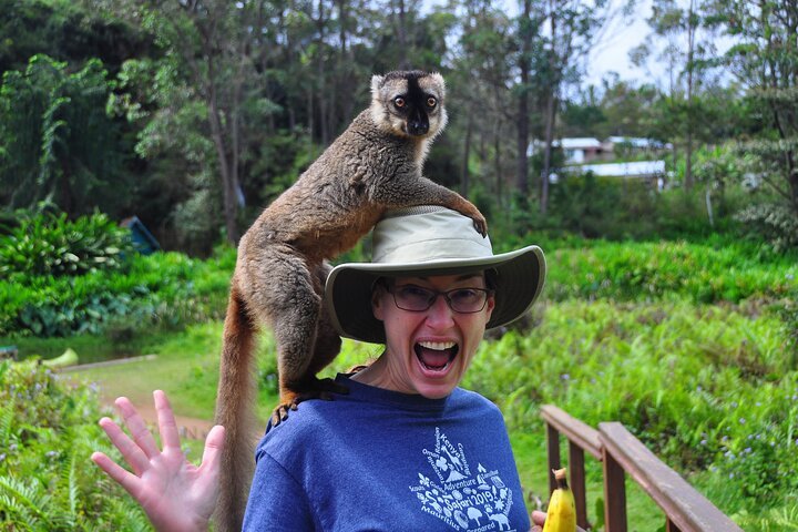 3-Day Private Tour to Andasibe National Park