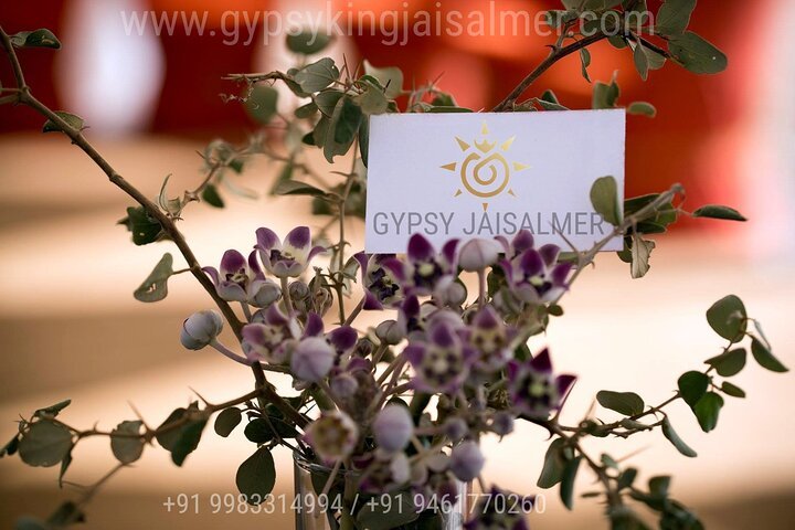 3 days Jaisalmer Private Tour with Desert Safari, Sightseeing and Accommodation