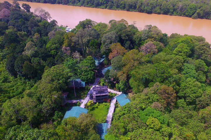 3D2N Sukau Wildlife Experience