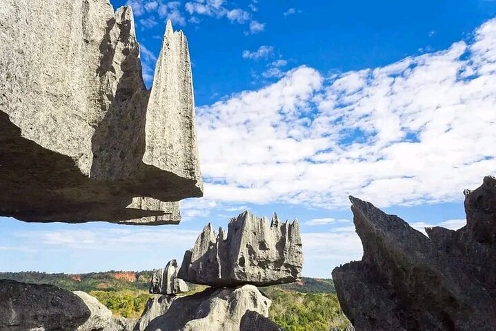 Morondava Tour : 3-day to Tsingy of Bemaraha & Baobab avenue