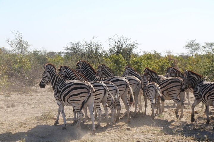5-Day Explore Zimbabwe, Zambia and Botswana