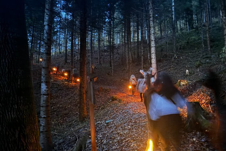 Guided llama hike with traditional raclette