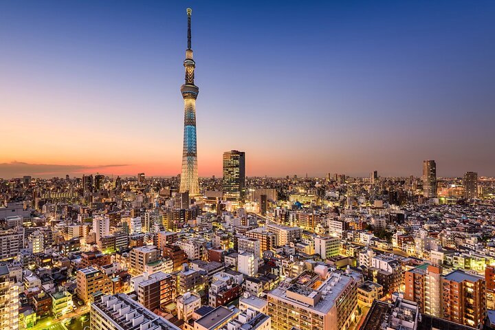 4-Day Private Tokyo, Fuji & Nikko Odyssey